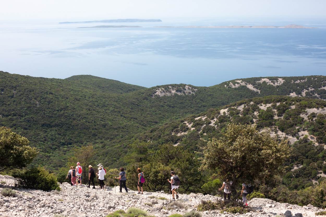 Sensa Yoga Balancing Retreat na Lošinju 