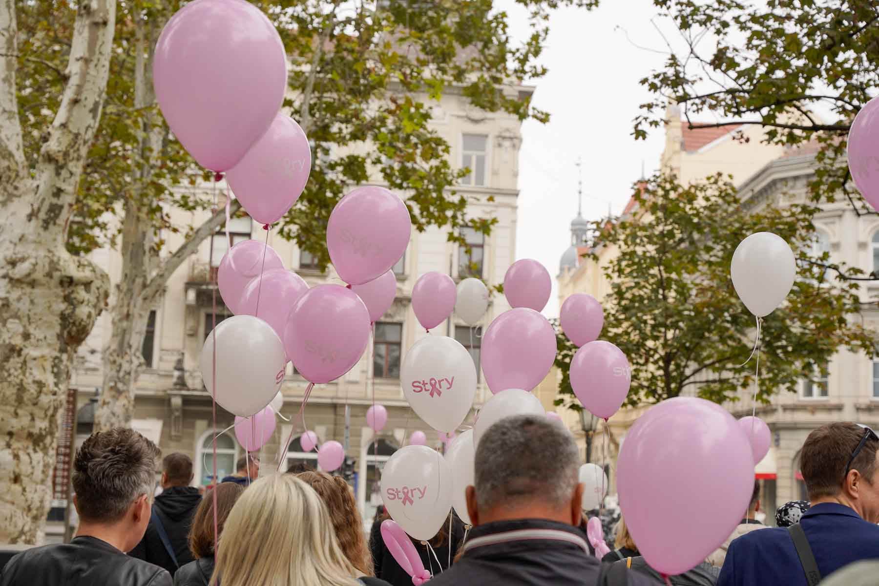 Story Pink Fest