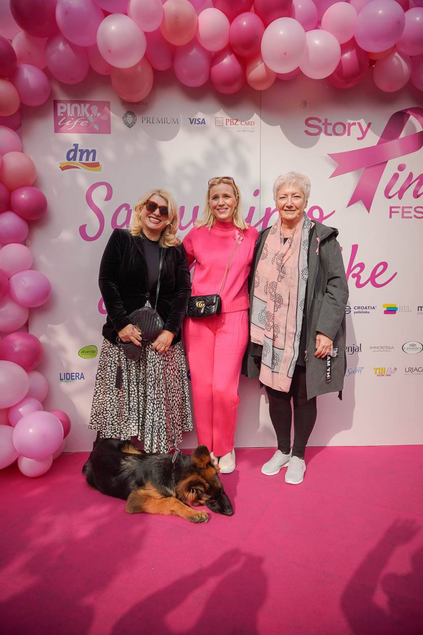 Story Pink Fest