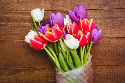 cvijeće buket tulipani