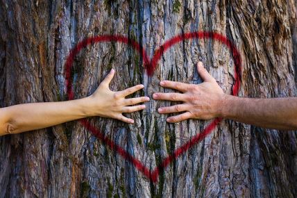 srce drvo ruke par ljubav