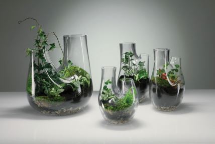 biljni terarij - dizajn Tom Dixon 1