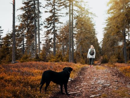 žena i pas u šumi