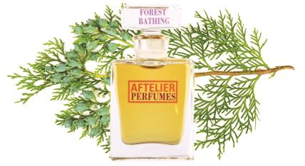 Aftelier Perfumes Forest Bathing