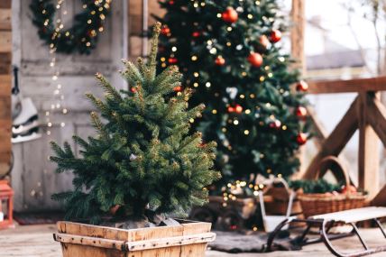 božićno drvce