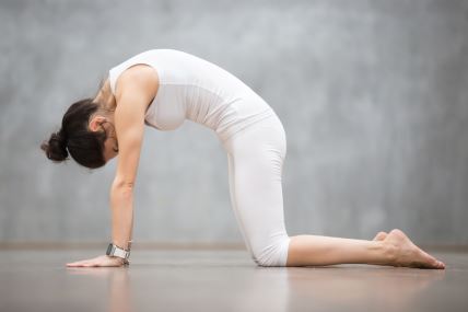 joga vježbe za kod kuće.jpg