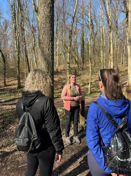 Forest bathing_Putnici za putnike.jpg