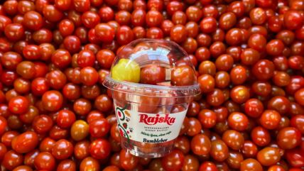 rajske rajčice.jpg