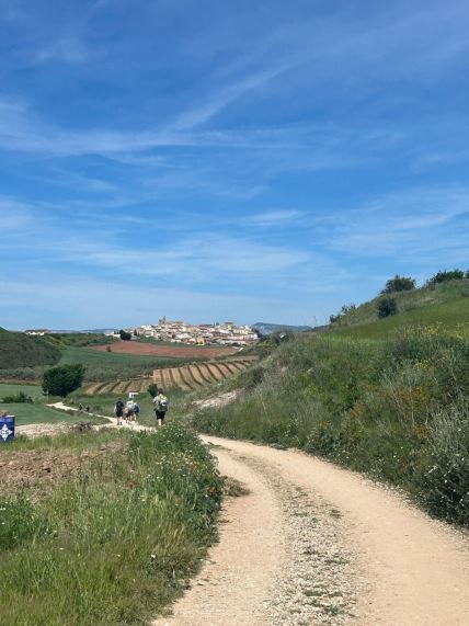 Camino de Santiago