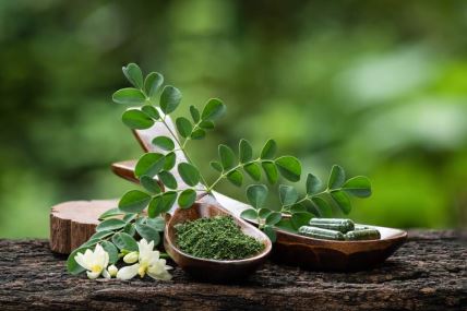 moringa prah