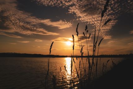 jezero rakitje