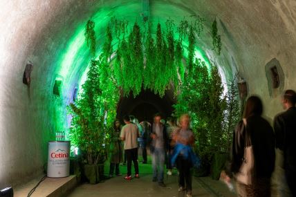 Cetina_Najljepsa prica iz prirode_Tunel Gric_1 (1).jpg