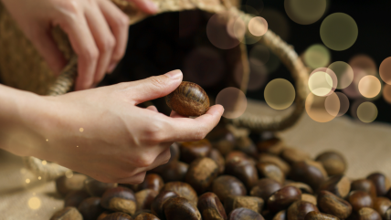 Kesten naslovnica.png