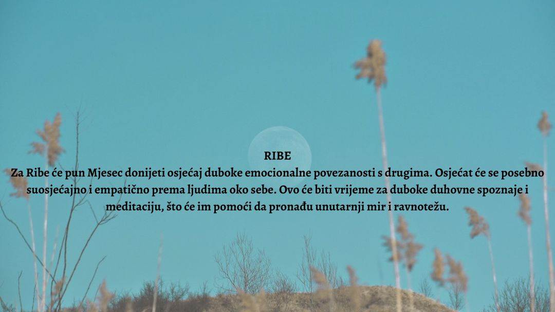 Pun Mjesec