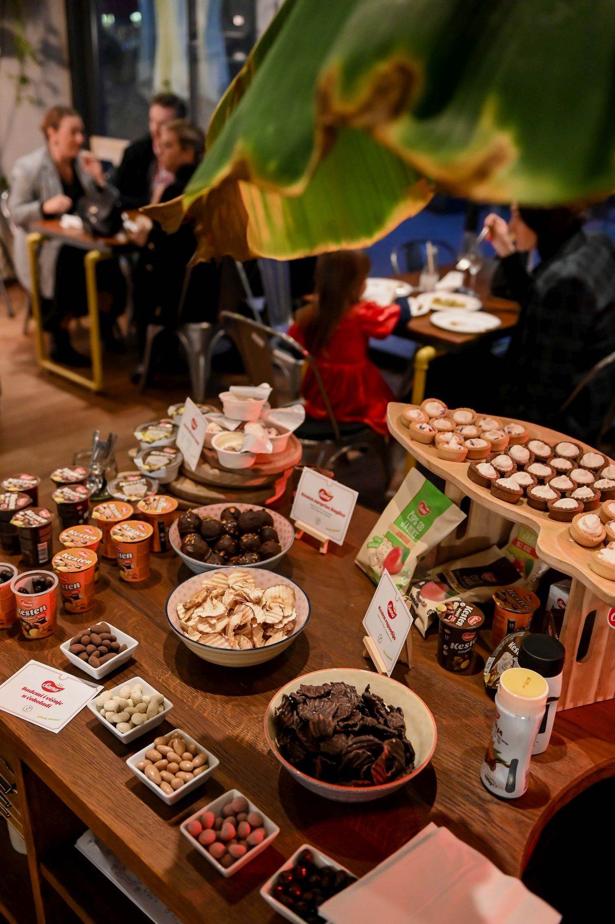 Sana - 10 godina (2).JPG