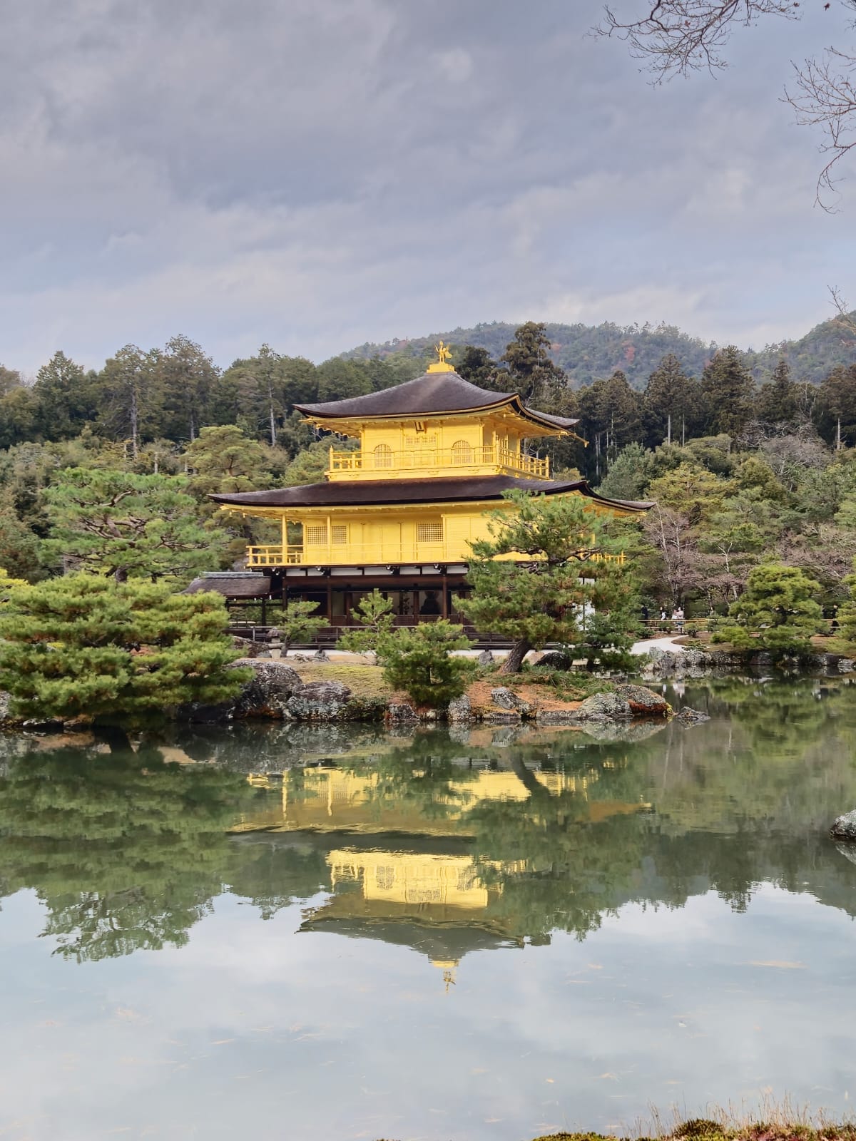 WhatsApp Image 2025-01-04 at 11.20.06 (1).jpeg