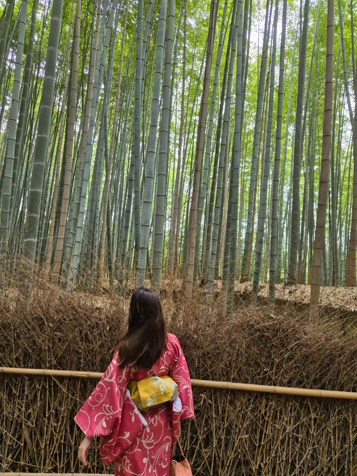 WhatsApp Image 2025-01-04 at 11.20.06 (2).jpeg