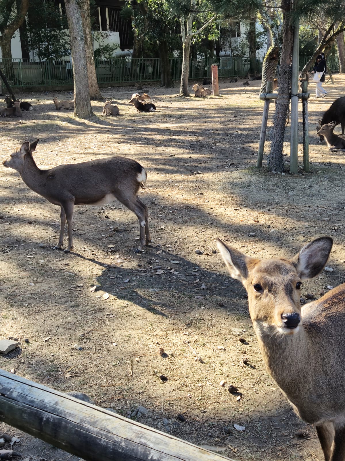 WhatsApp Image 2025-01-04 at 11.20.05 (1).jpeg