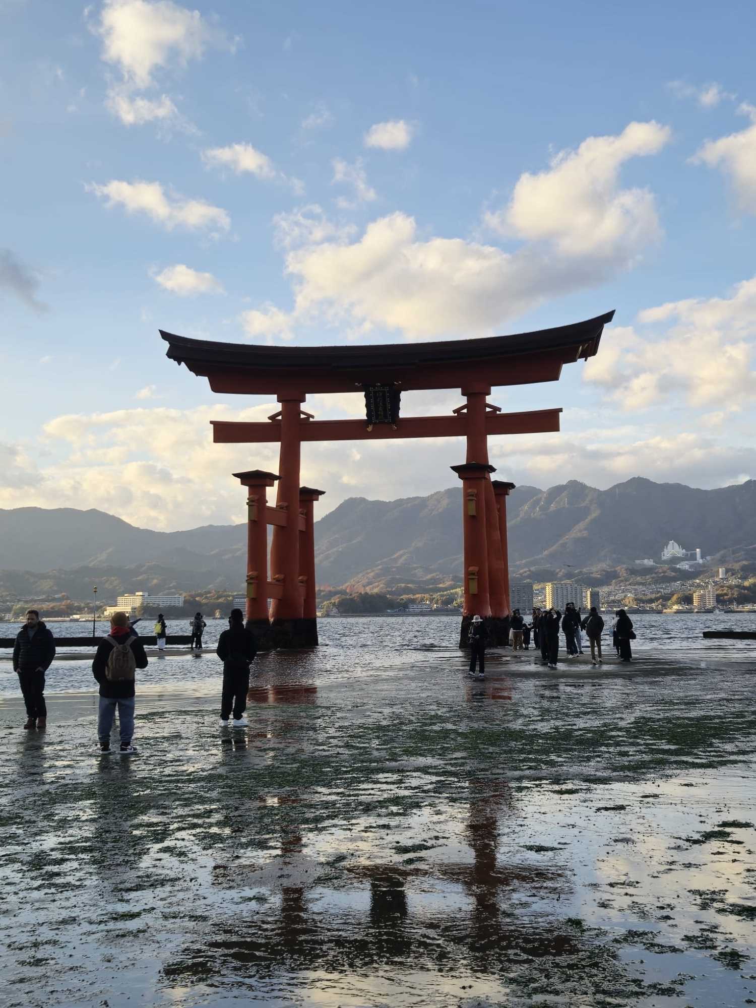 WhatsApp Image 2025-01-04 at 11.20.05.jpeg