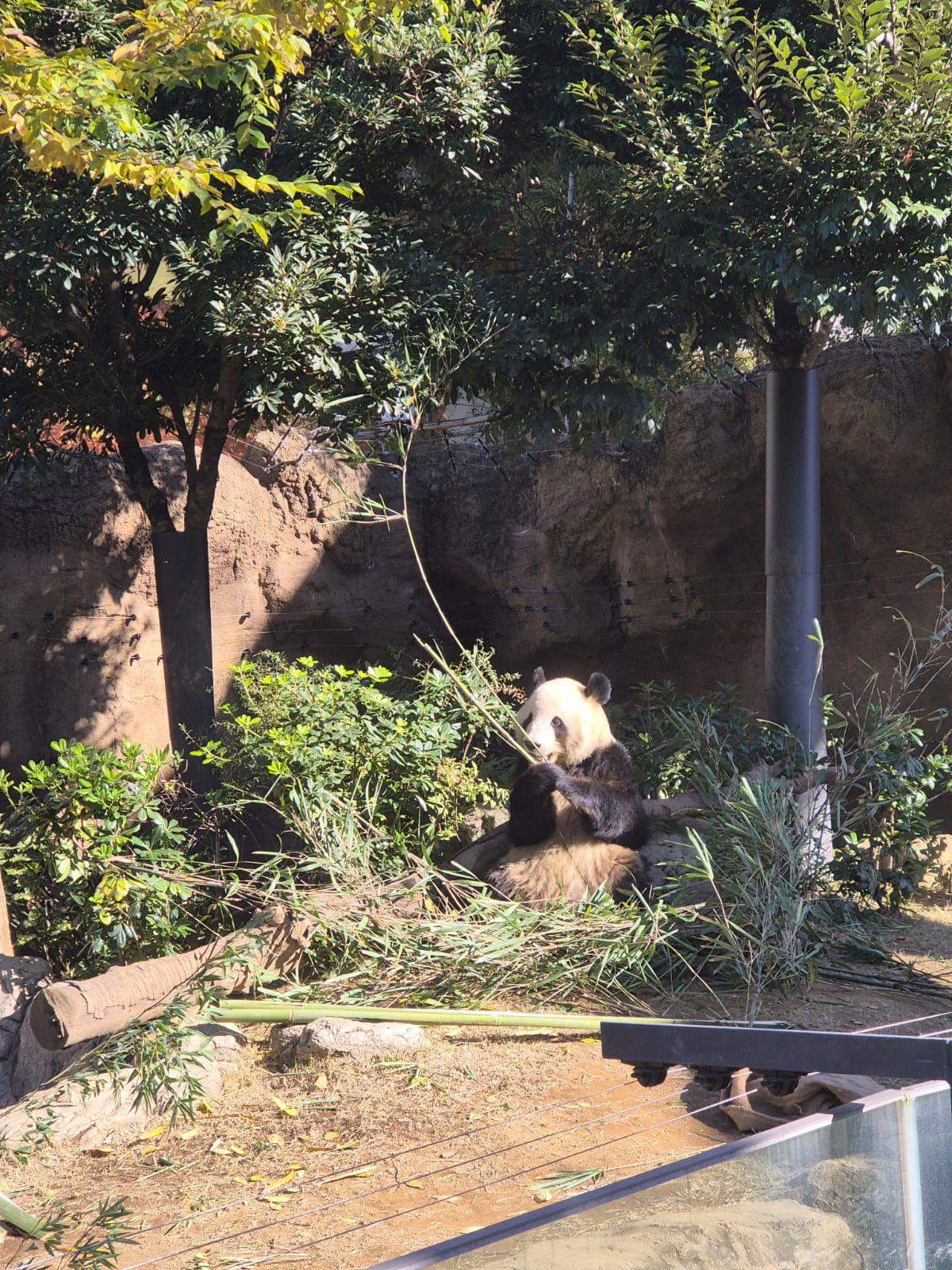 WhatsApp Image 2025-01-04 at 12.28.55.jpeg