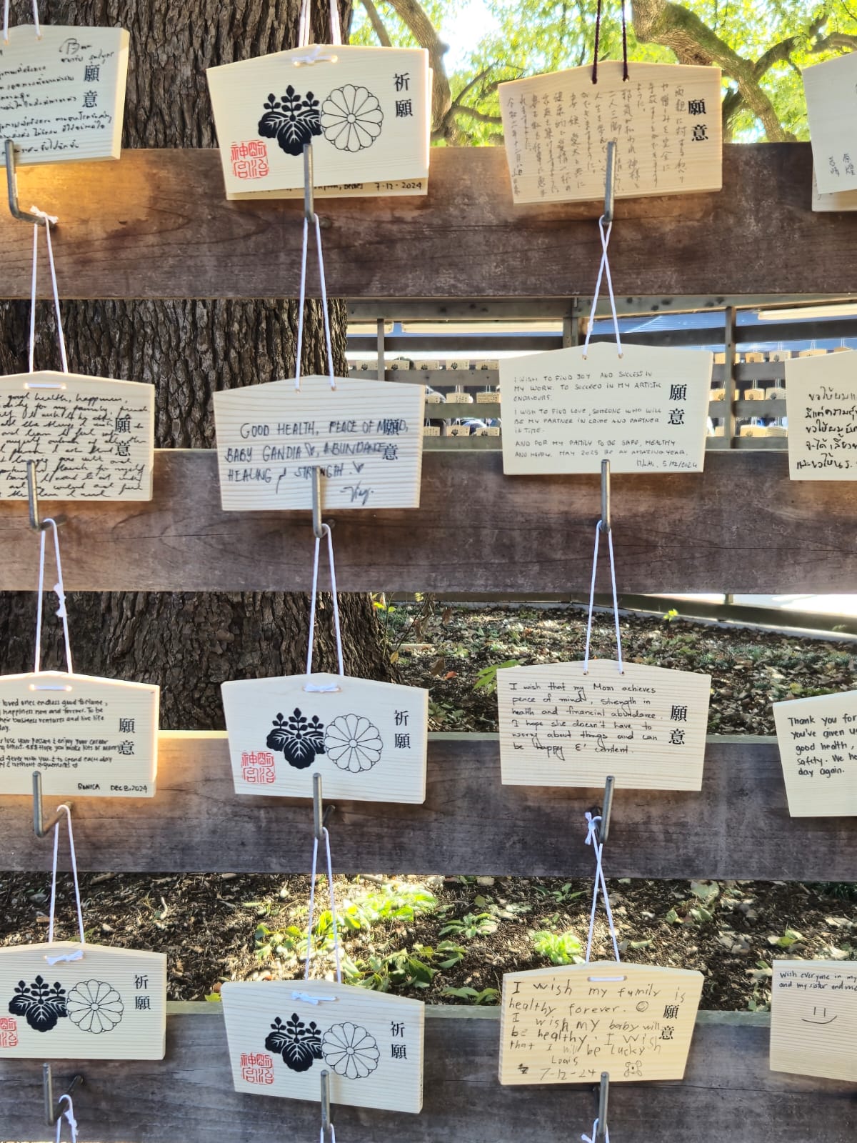 WhatsApp Image 2025-01-04 at 12.37.05.jpeg