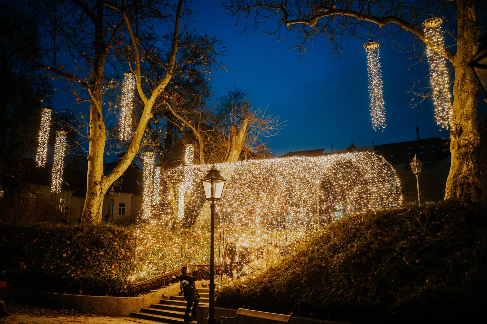 Samir Ceric Kovacevic_05122025_2Q7A8109.jpg