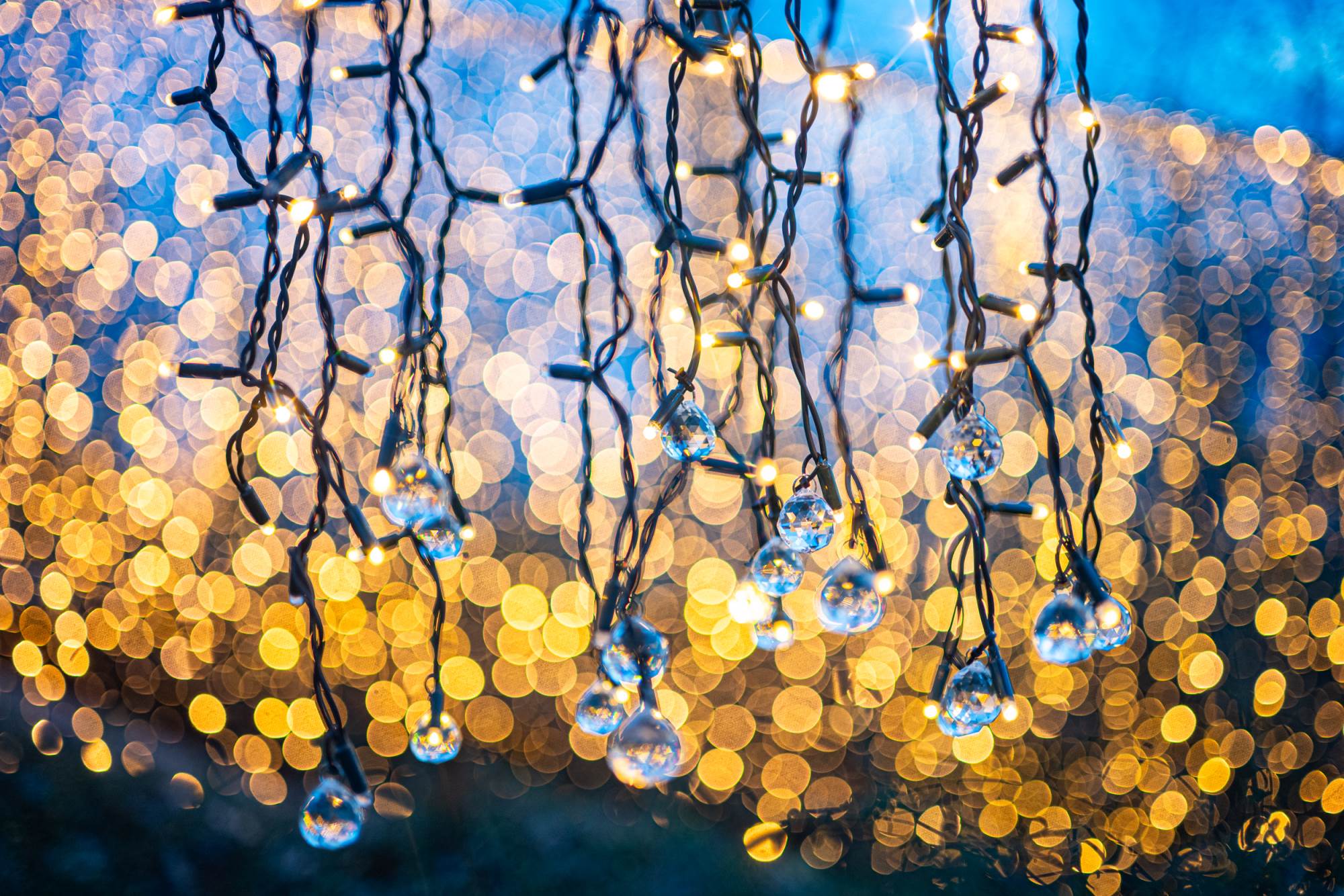 Sanjin Kastelan_DSC_9756.jpg