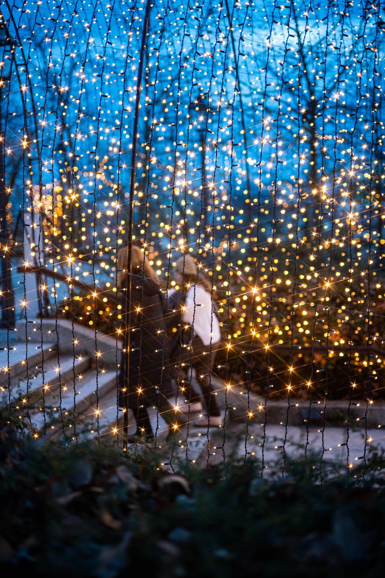 Sanjin Kastelan_DSC_9761.jpg