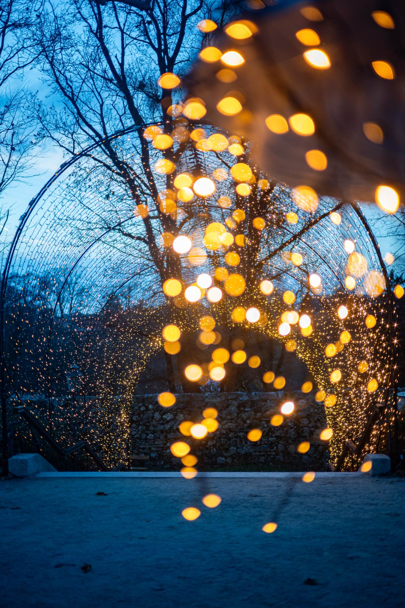 Sanjin Kastelan_DSC_9763.jpg