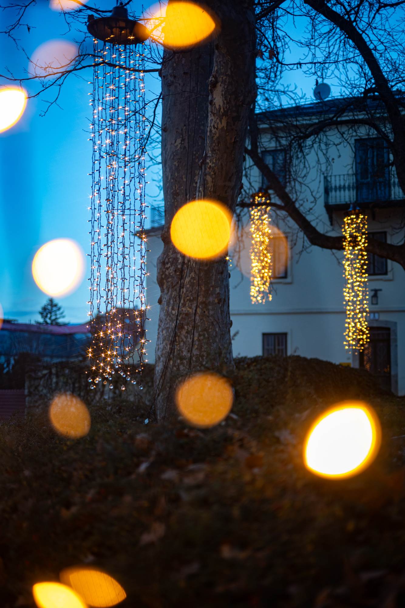 Sanjin Kastelan_DSC_9769.jpg