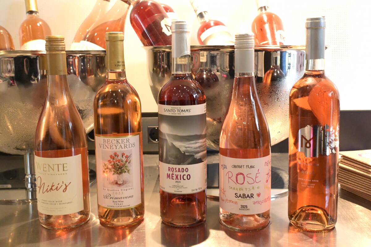 25 Vina radionice održane od strane Mirene Bagur.jpg