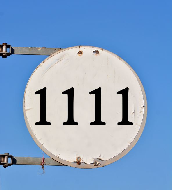 1111.jpg