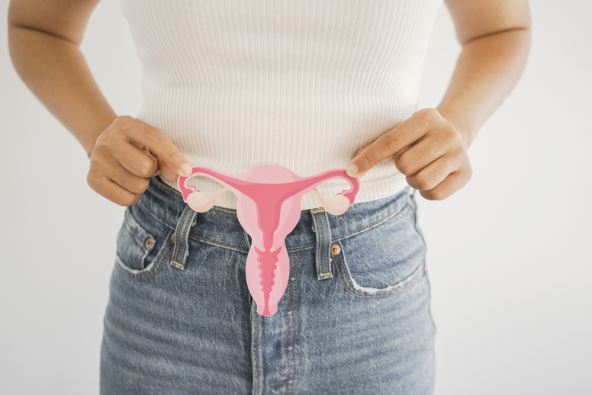 Perimenopauza