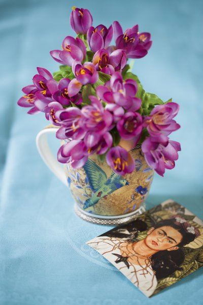 frida inspiracija 7
