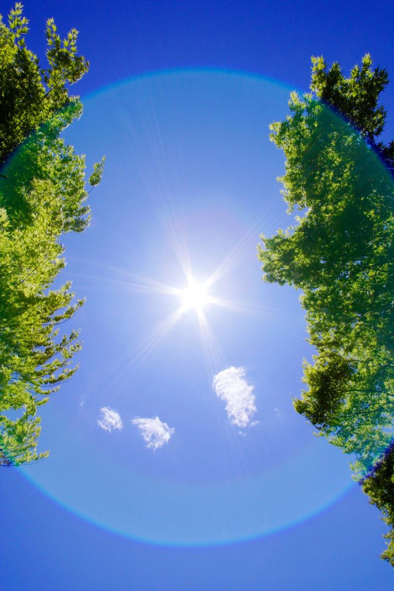 Sunce