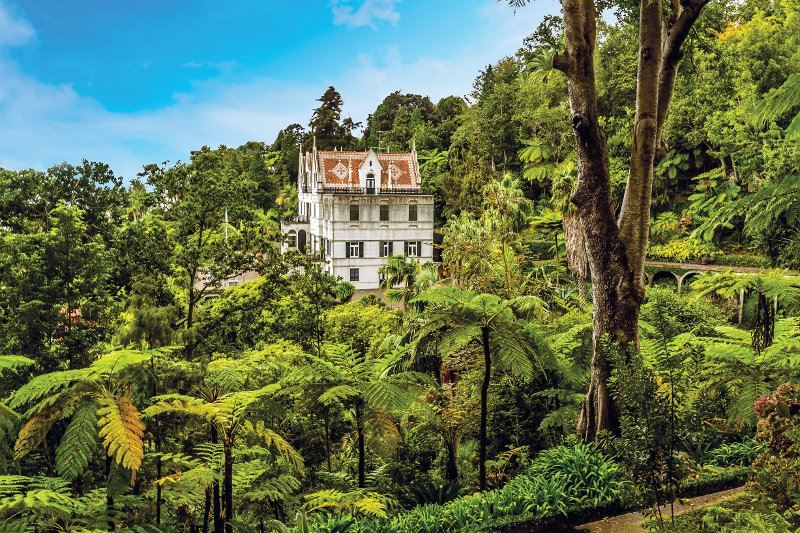 madeira