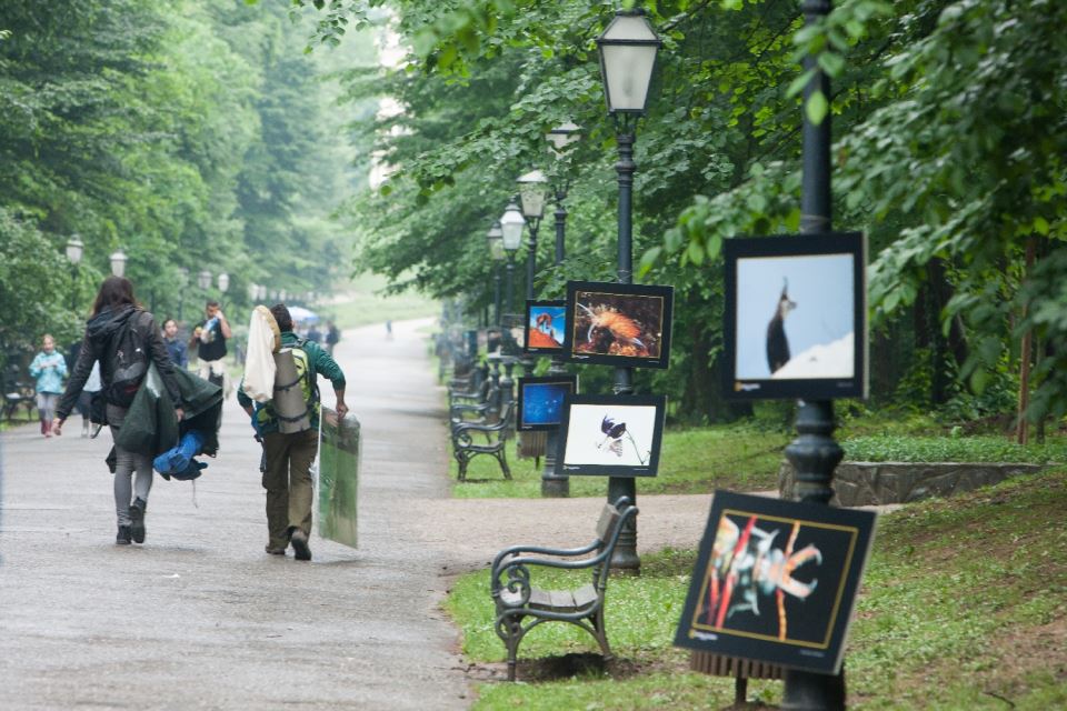 National Geographic Dan bioraznlikosti 14