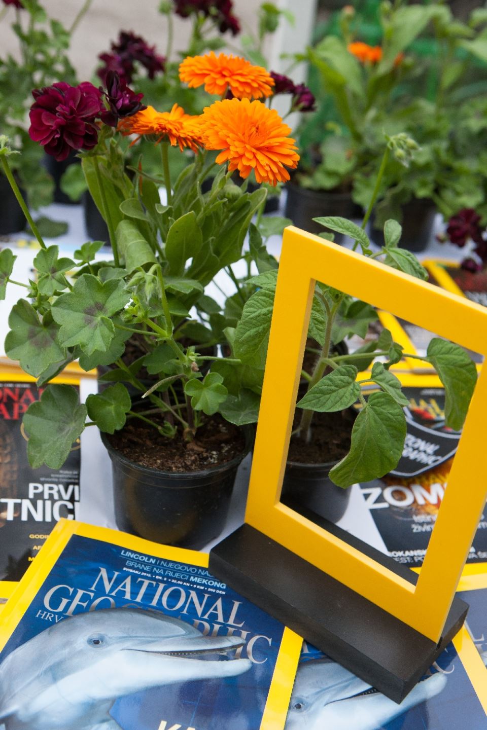 National Geographic Dan bioraznlikosti 23
