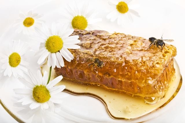 propolis