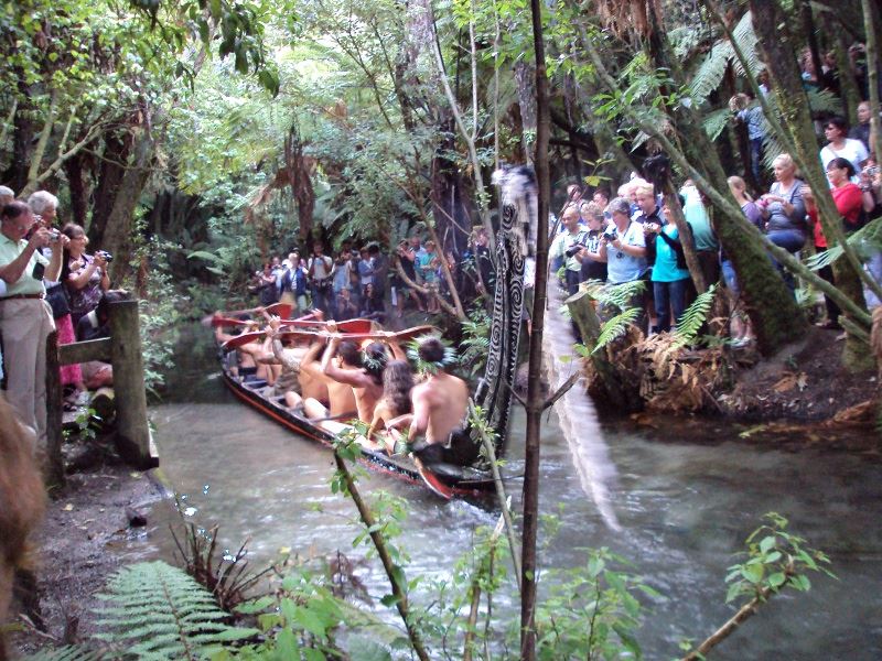maori