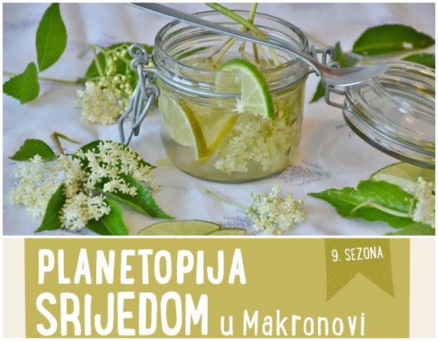 Makronova