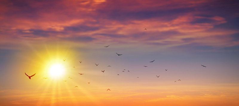 zora nebo svitanje anđeoska poruka