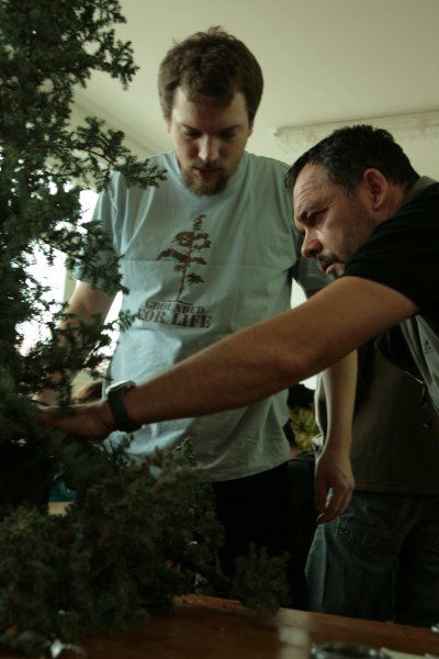 bonsai