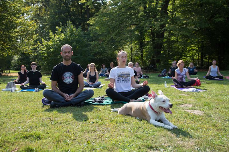 dharma yoga Sandra Petra Pintarić