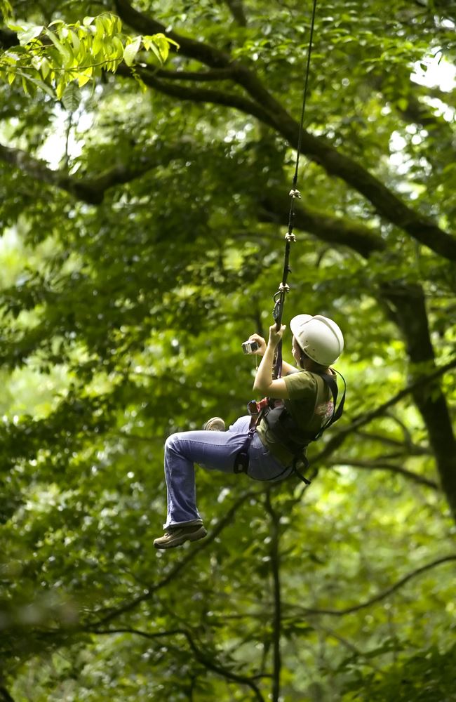 adrenalin