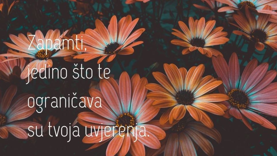 horoskop - 2022-04-19T152342.013.jpg