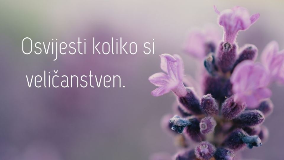 horoskop - 2022-04-19T151924.603.jpg