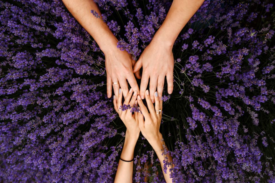 lavanda