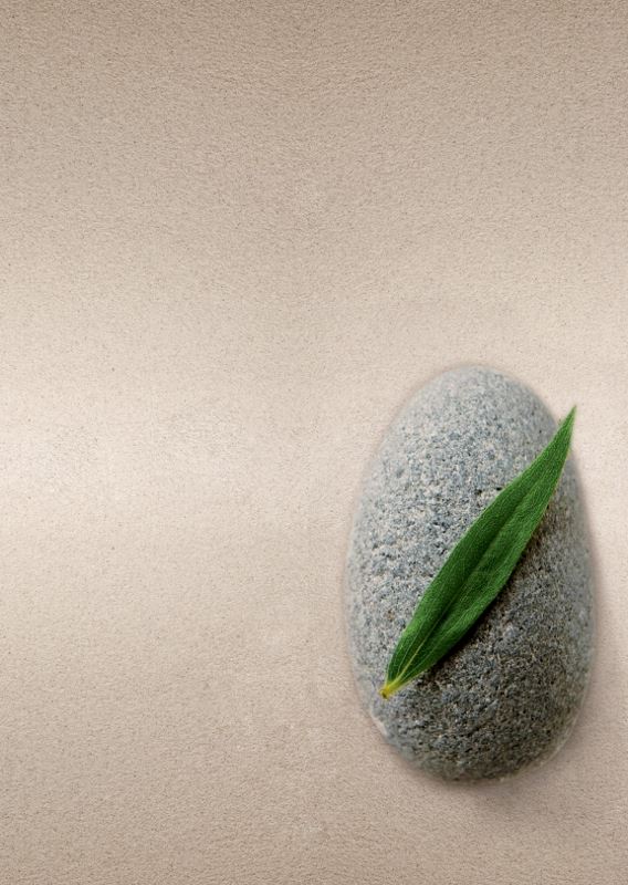 zen
