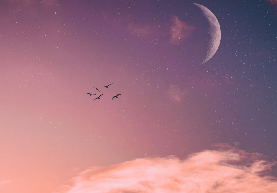 horoskop11.jpg